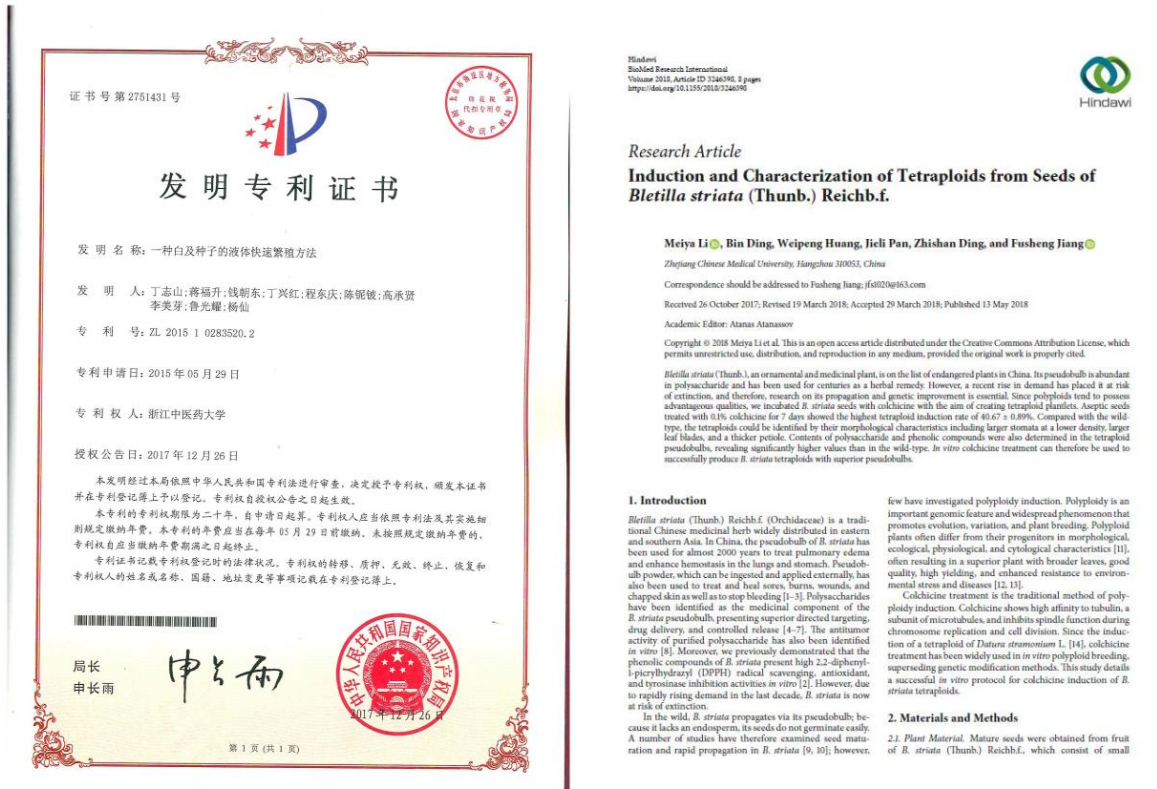发明专利证书