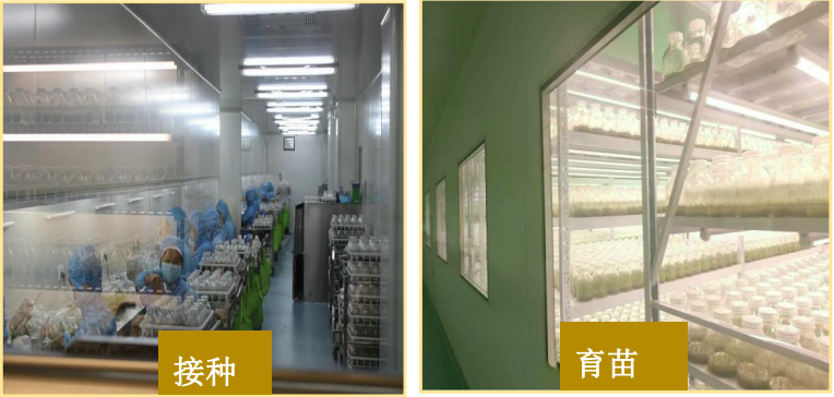 图示